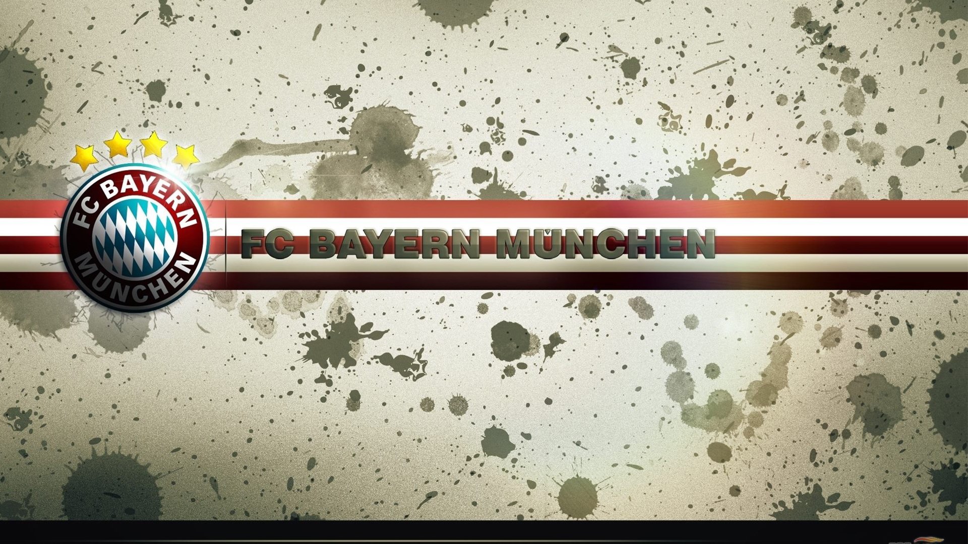 德国马术协会与国际马术联合会合作，举办国际马术交流活动，促进技术交流。